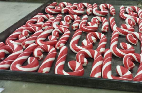 Candy Cane FAQs