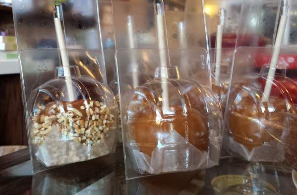 Must-Have Flavors of Fall