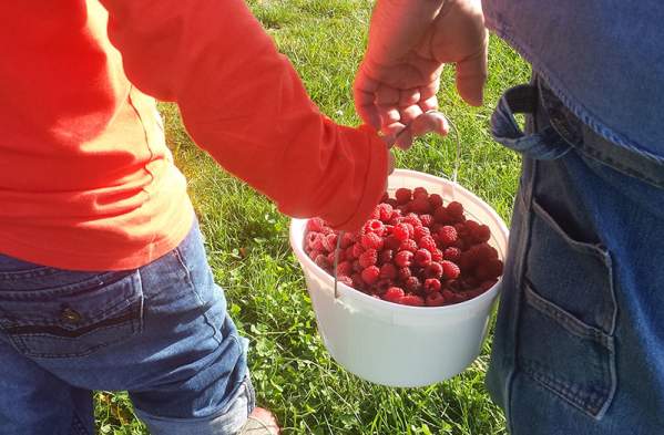 Morgan County Fall Bucket List