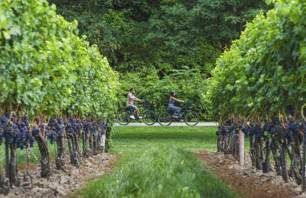 5 Reasons To Wake Up To Niagara-on-the-Lake's Bed and Breakfast Scene
