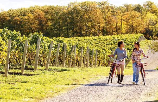 A Cyclist’s Wine Guide to the Niagara Region
