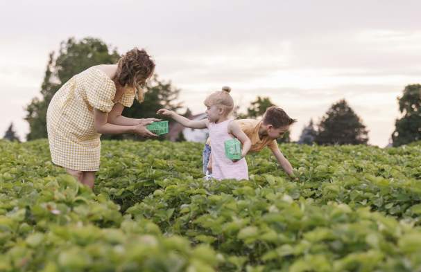 Niagara Benchlands Farm-To-Table 411