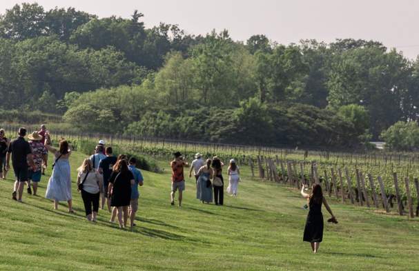 Niagara's Top Festivals and Events for Wine & Food Lovers