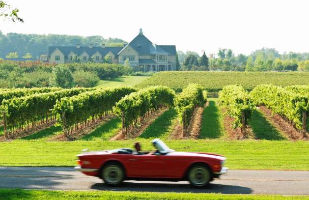 Road Trip-Ready Scenic Drives
