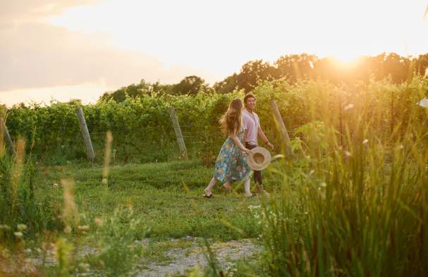 Rural Romance In The Niagara Benchlands