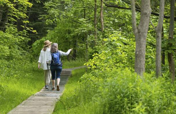 The Best Bruce Trail Hikes For Wine Lovers
