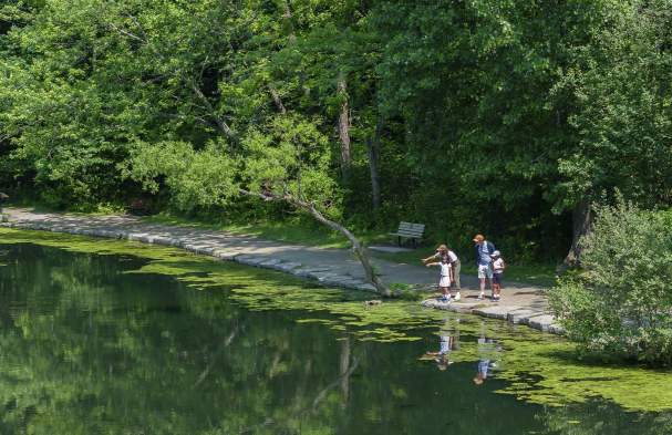 Unplug on Niagara's South Coast