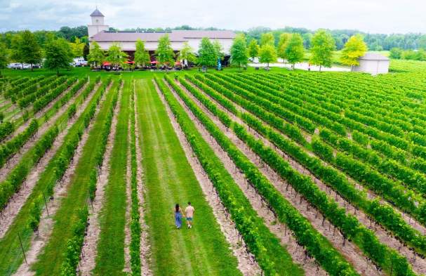 Meet The Niagara-on-the-Lake Tastemakers