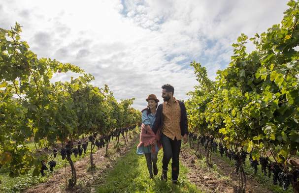 Niagara Wine Country: No Repeats