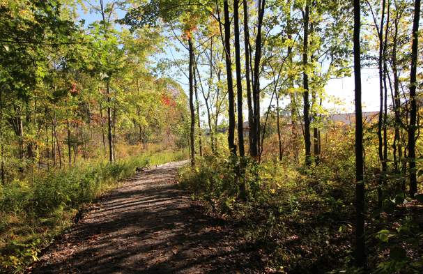 Heartland Forest