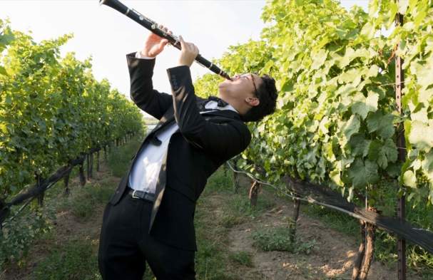 Music Niagara Festival 2026