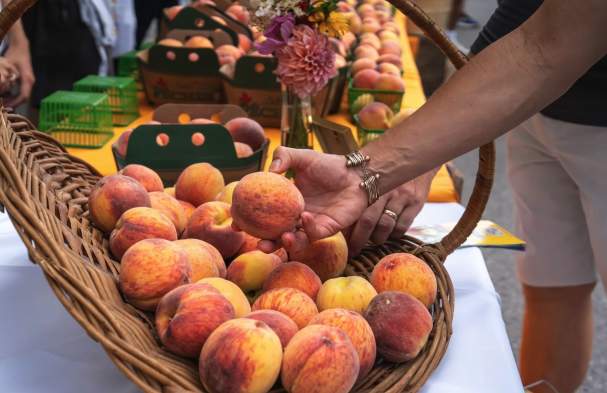 Peach Festival