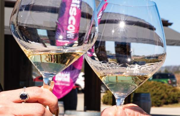 Niagara Grape & Wine Festival Fall Discovery Pass