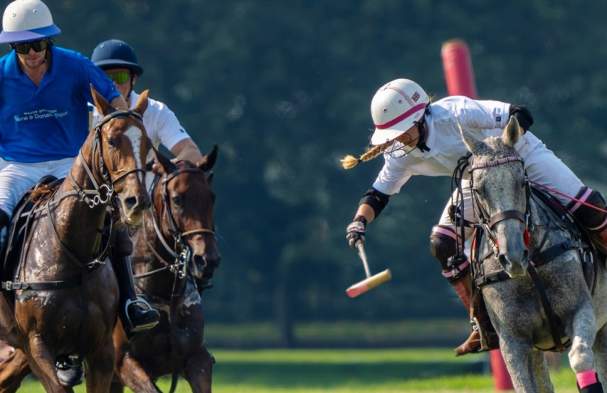 Niagara Polo
