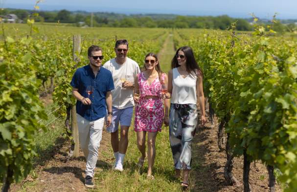 Summer Wine Trail
