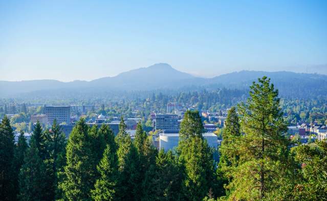 View from Skinner Butte 2021
