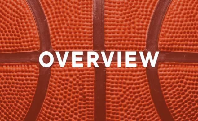 Orange basketball graphic with the words Overview in white.