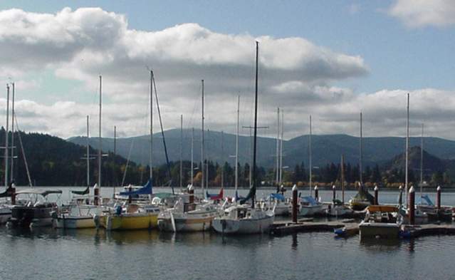 Sailboats on Dexter Lake by Debbie Williamson-Smith