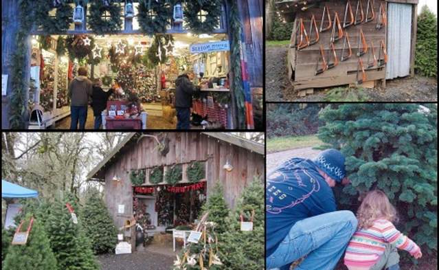 Choose 'n' Cut Christmas Trees