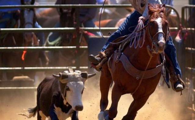 Eugene Pro Rodeo