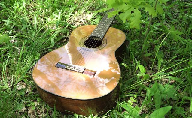 Free Summer Concert at Scobert Gardens Park