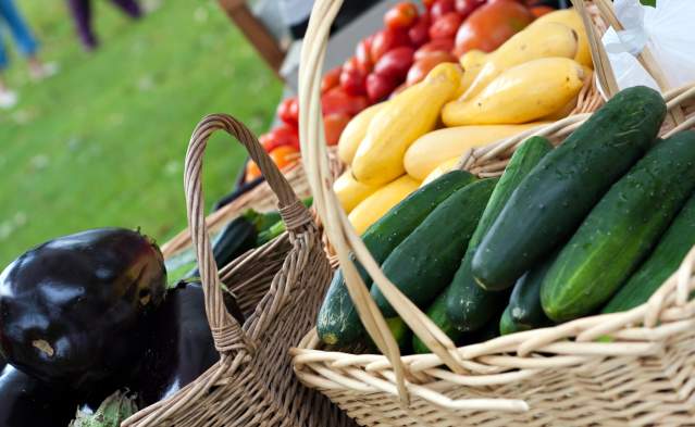 Lane County Farmers Market - Springfield
