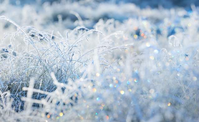 Dear December by Eugene Gay Men's Chorus