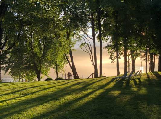 Elms Waterfront Cottages & Lodge