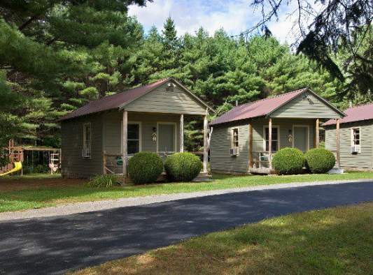Pine Tree Motel & Cabins