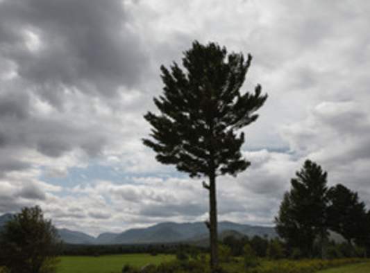 Widlund Gallery | Water, Mystery, Memory