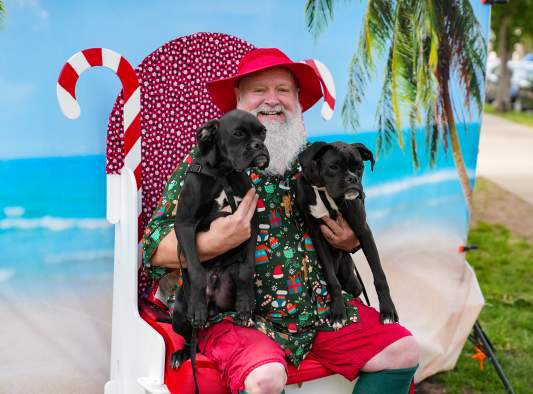 Pet Fest