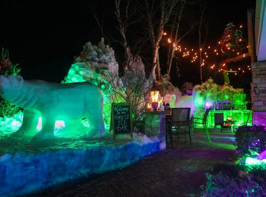 Forest Ice Bar