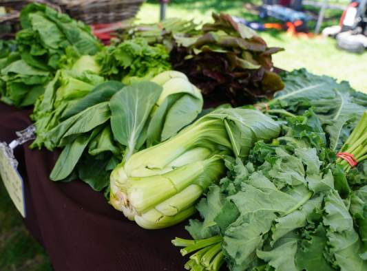 Chestertown Farmers Market