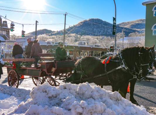 Horse & Carriage Ride with a Time to Remember