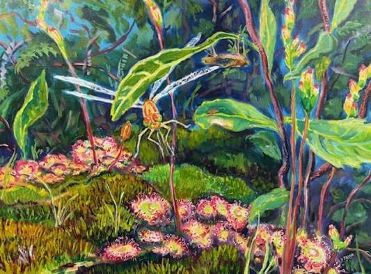 Paintings by Phyllis Brown