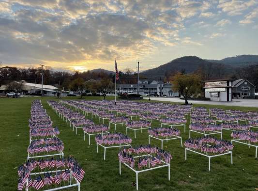 Field of Flags Display