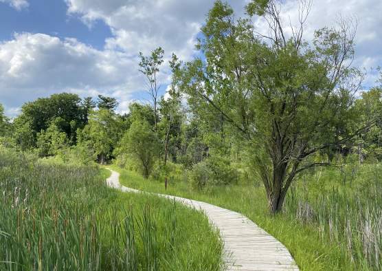 Henry Schuette Park