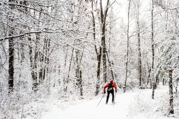Where to Cross Country Ski in the Stevens Point Area