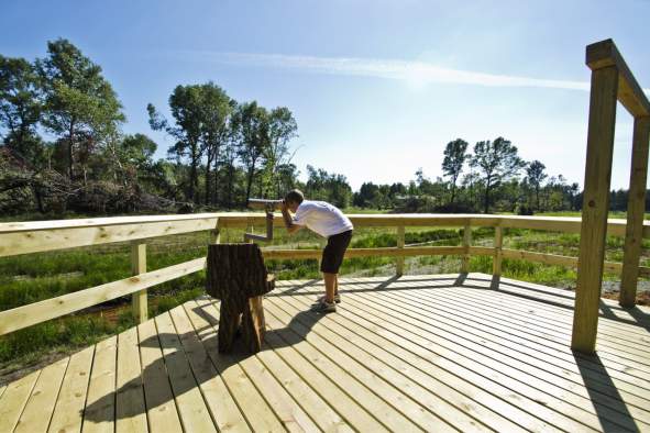 Get a unique view of nature at the boardwalk at Schmeeckle Reserve!
