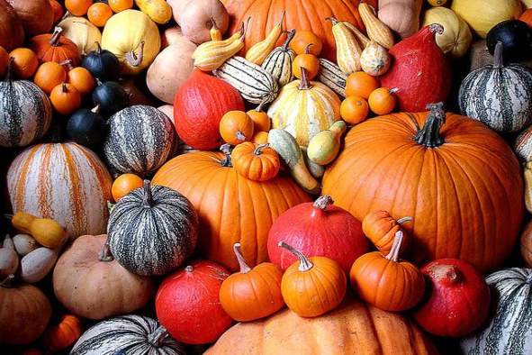 Fall Harvest Weekend
