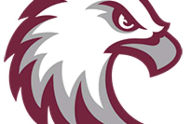12/8 7:00 PM Women&#39;s Hockey vs Augsburg University