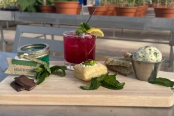 Cultivate + Create: Mint Workshop