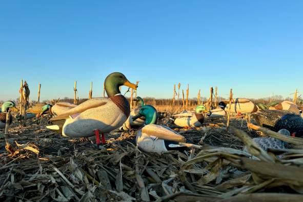 Decoy Event and Expo