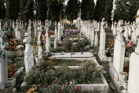 Forest Cemetery Twilight Tour: Women & Children First