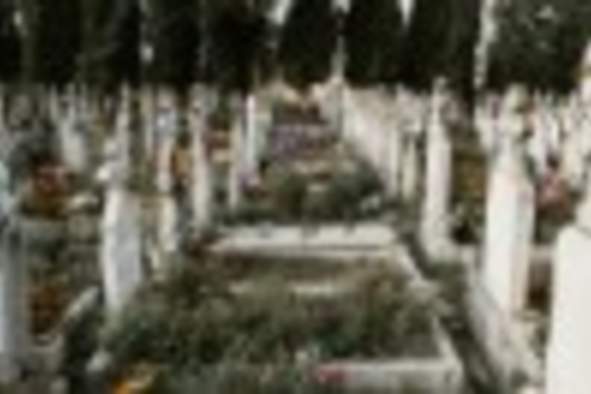 Forest Cemetery Twilight Tour