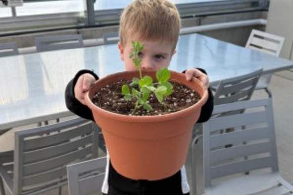 Homeschool Workshop: Companion Planting
