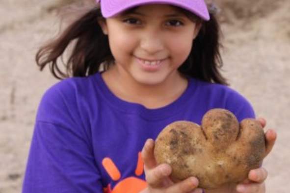 Homeschool Workshop: Harvest