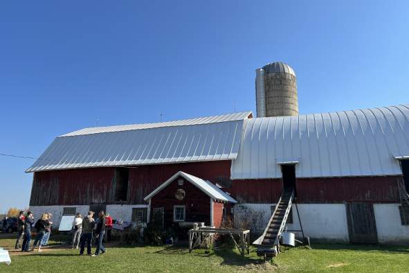 Brunch on the Farm