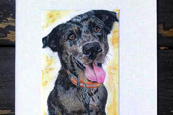 Paint your own pet party!