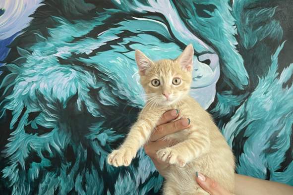 Coloring with Cats